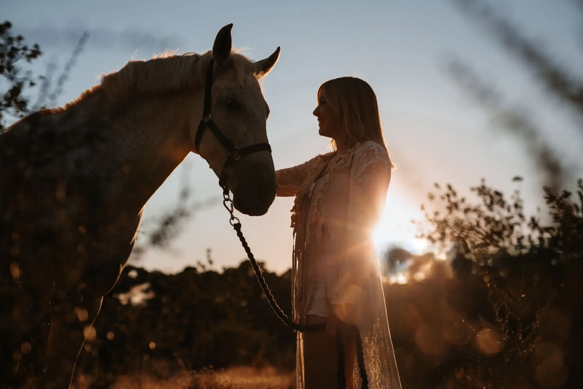 Femme et cheval brun au soleil