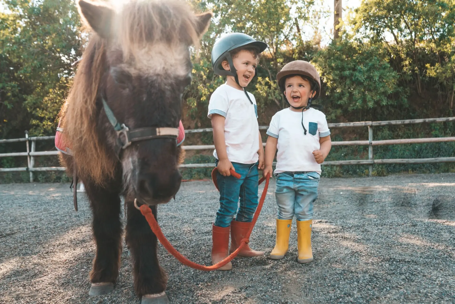 Enfants avec casques et poney